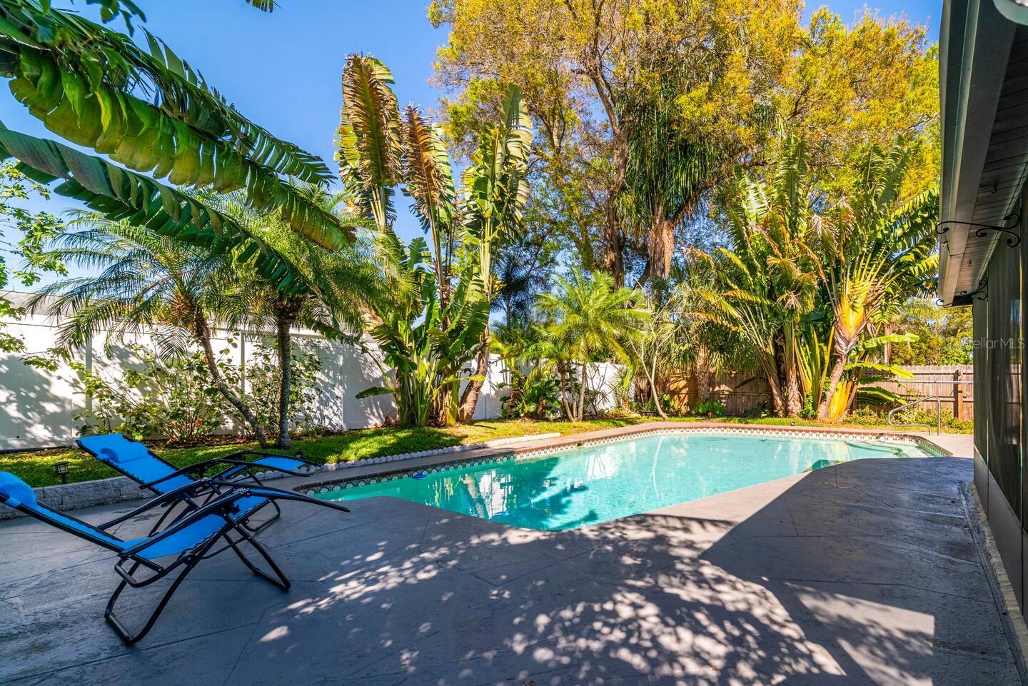Back yard