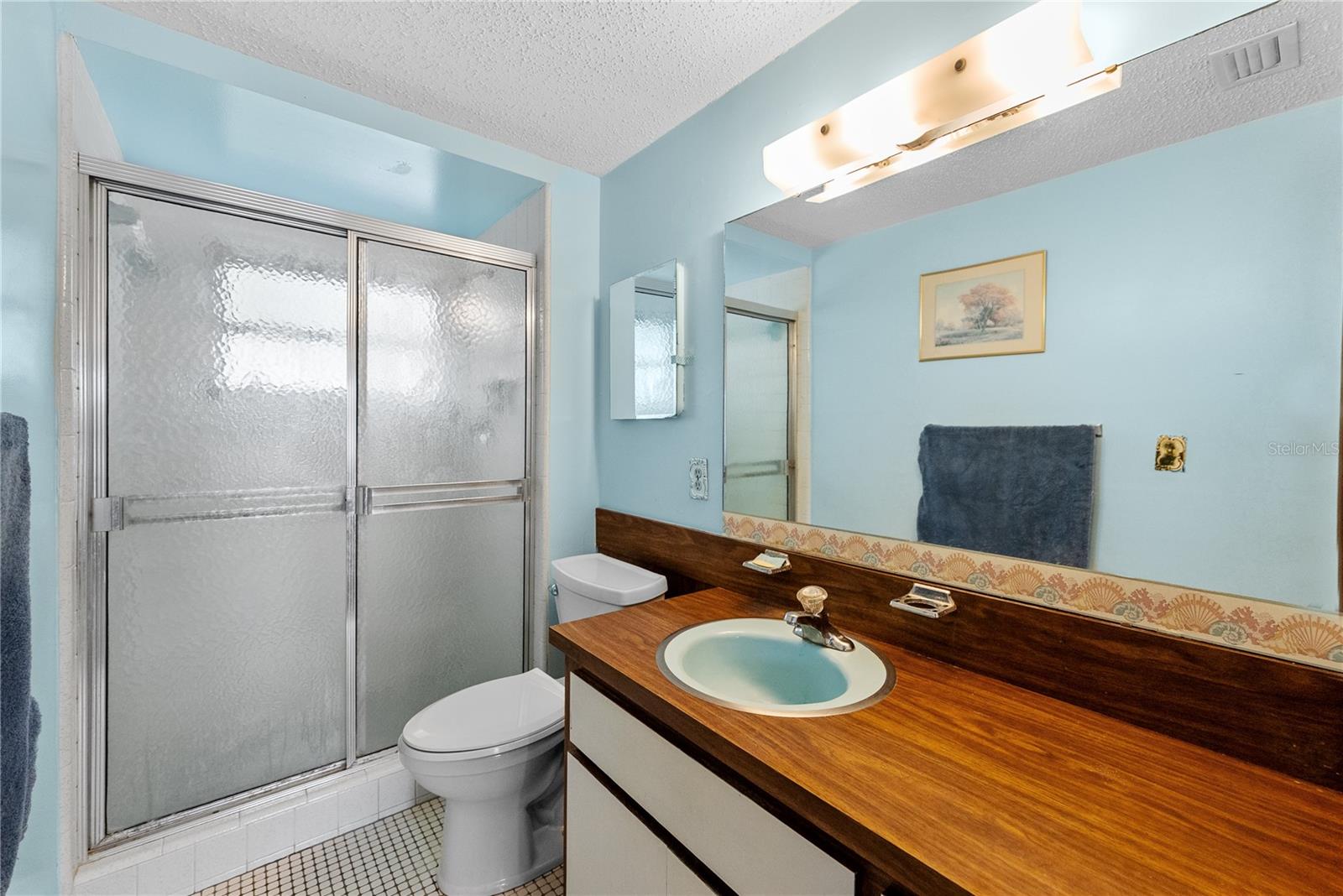 Owner's Bath