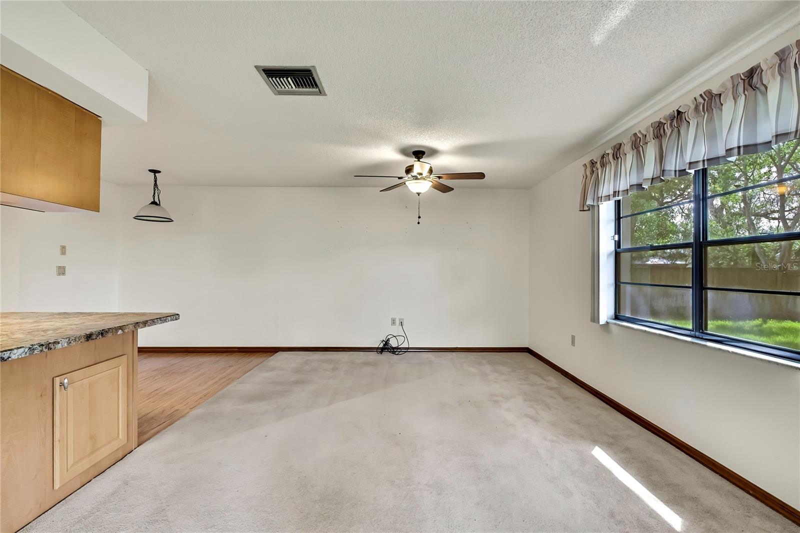 Family Room, tucked away in back of home