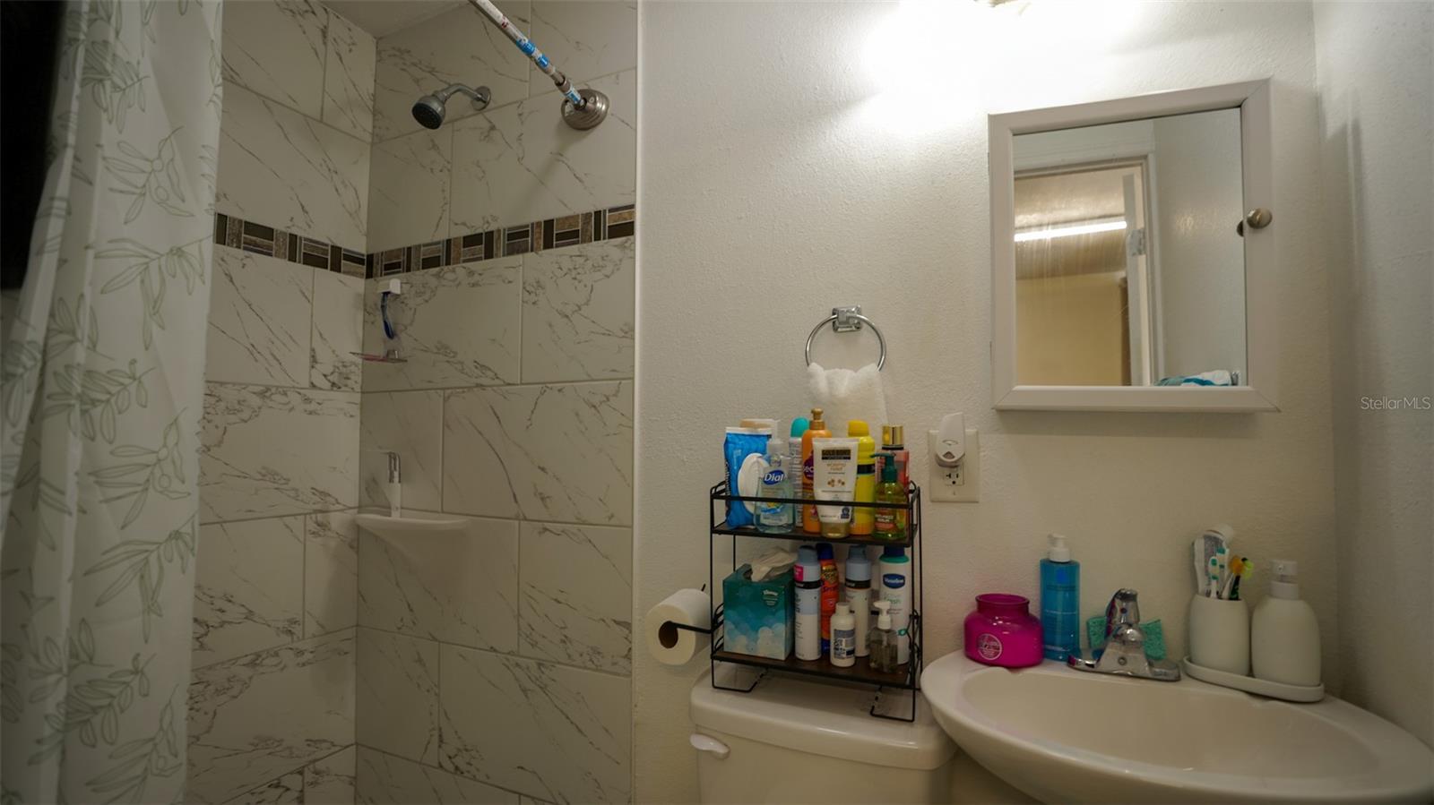 Attached Suite 2 Shower
