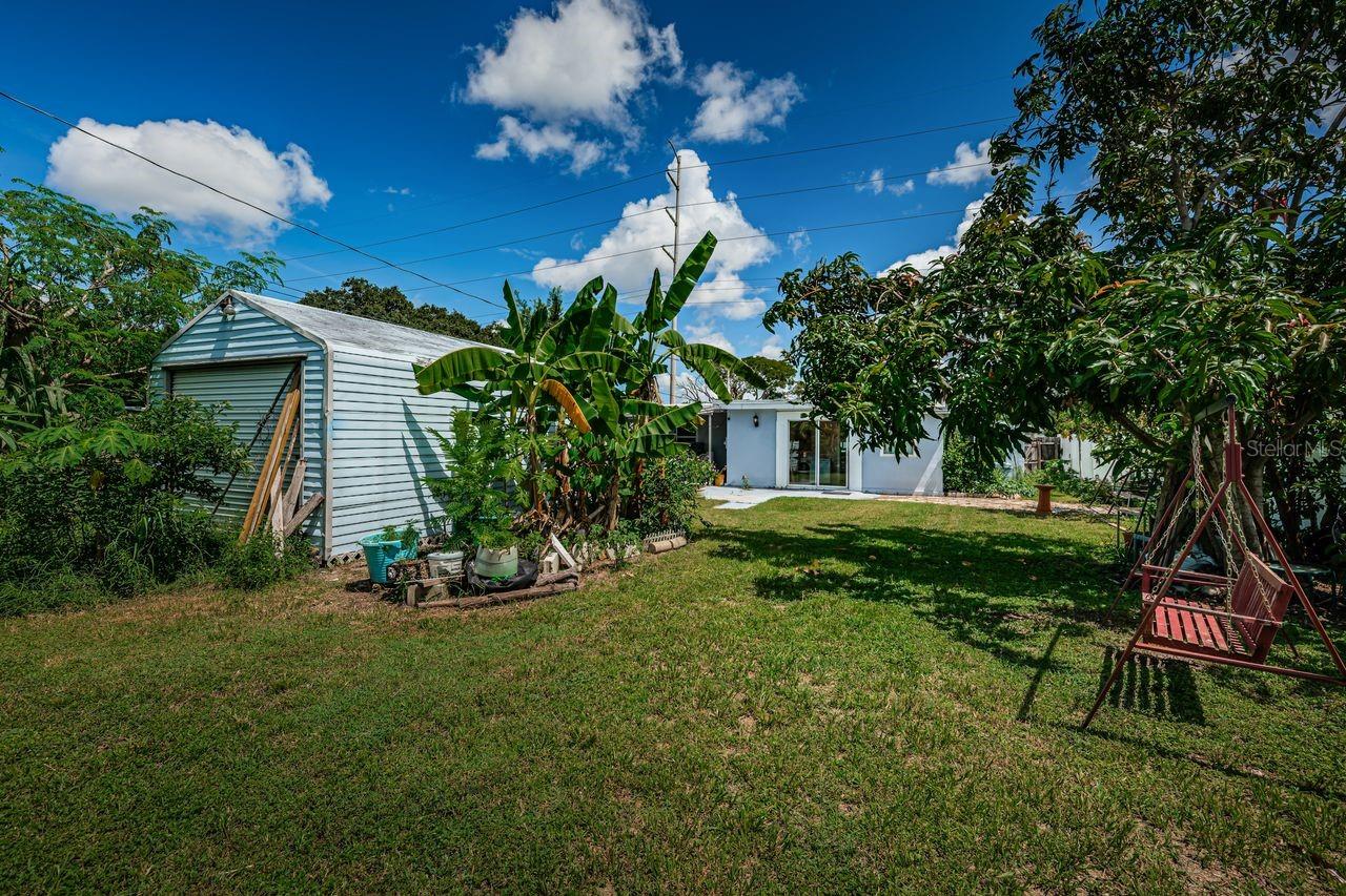 Shed/Workshop