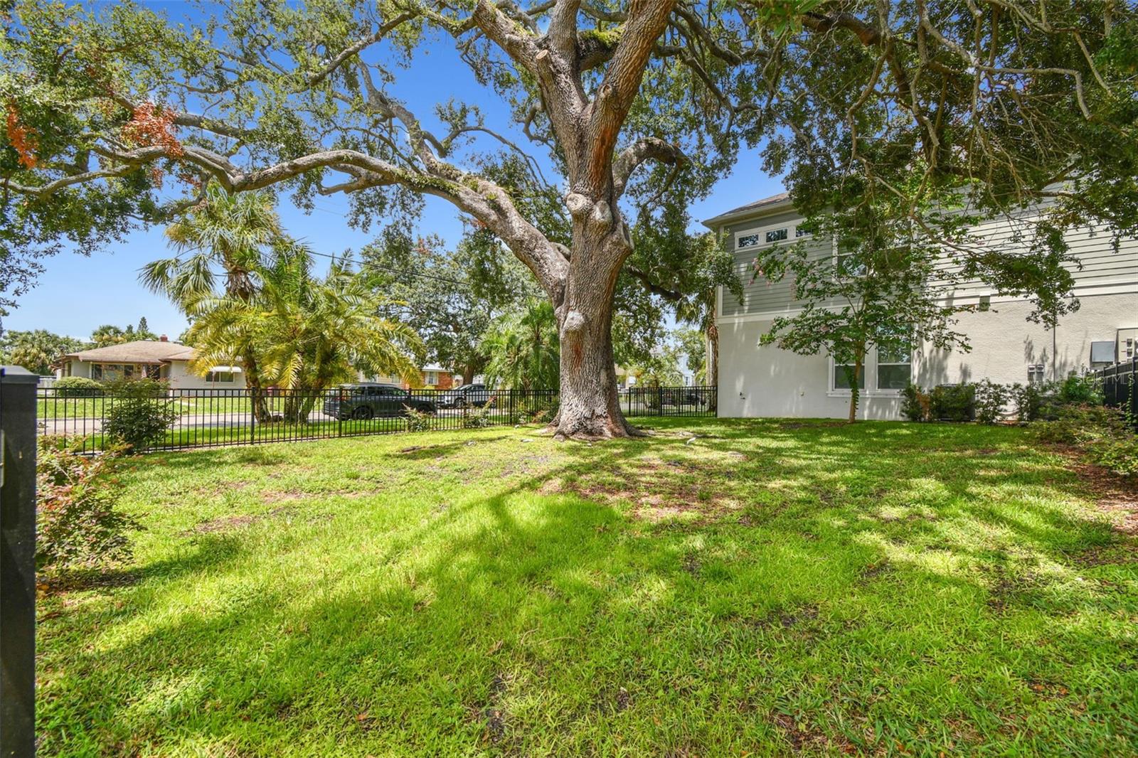 Green space/dog park