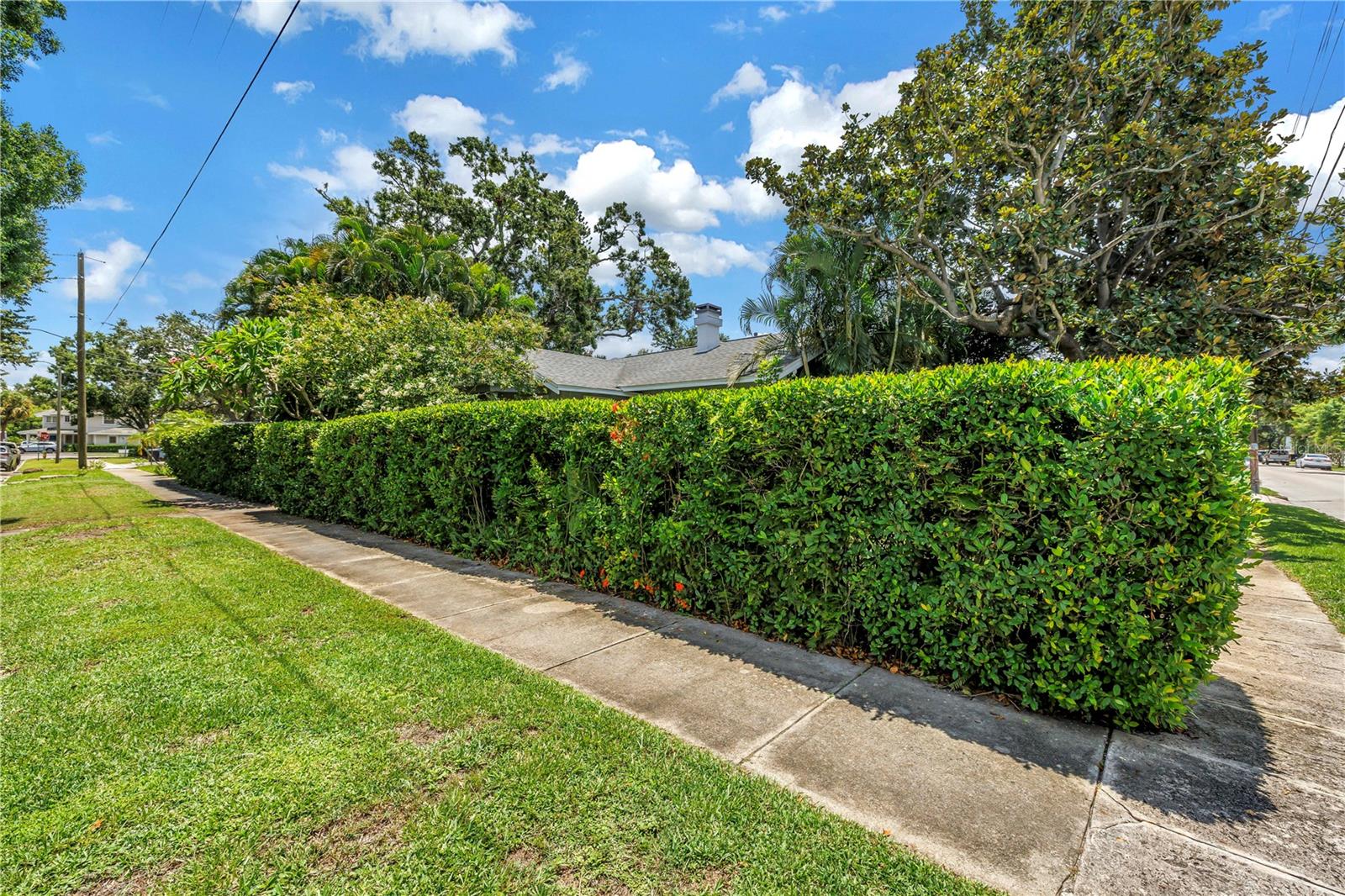 Privacy hedges