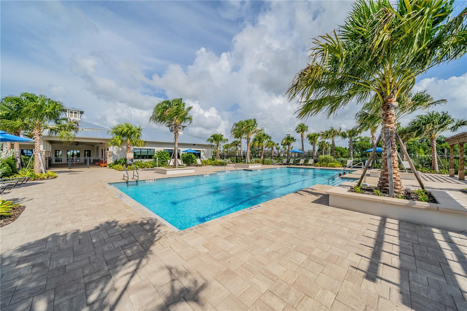 The Clubhouse Lap Pool