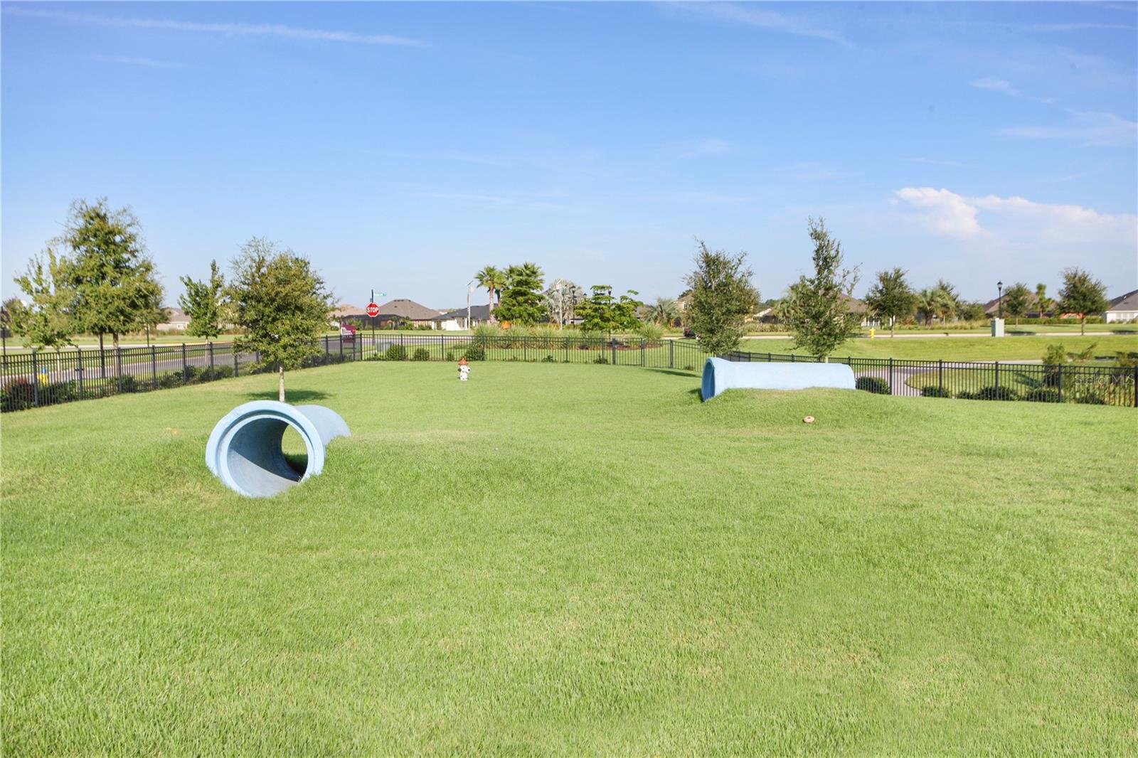 The Lakeside Dog Park