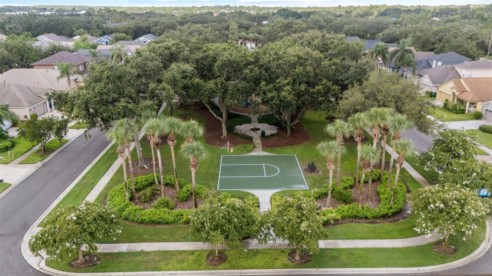 Basketball Courts