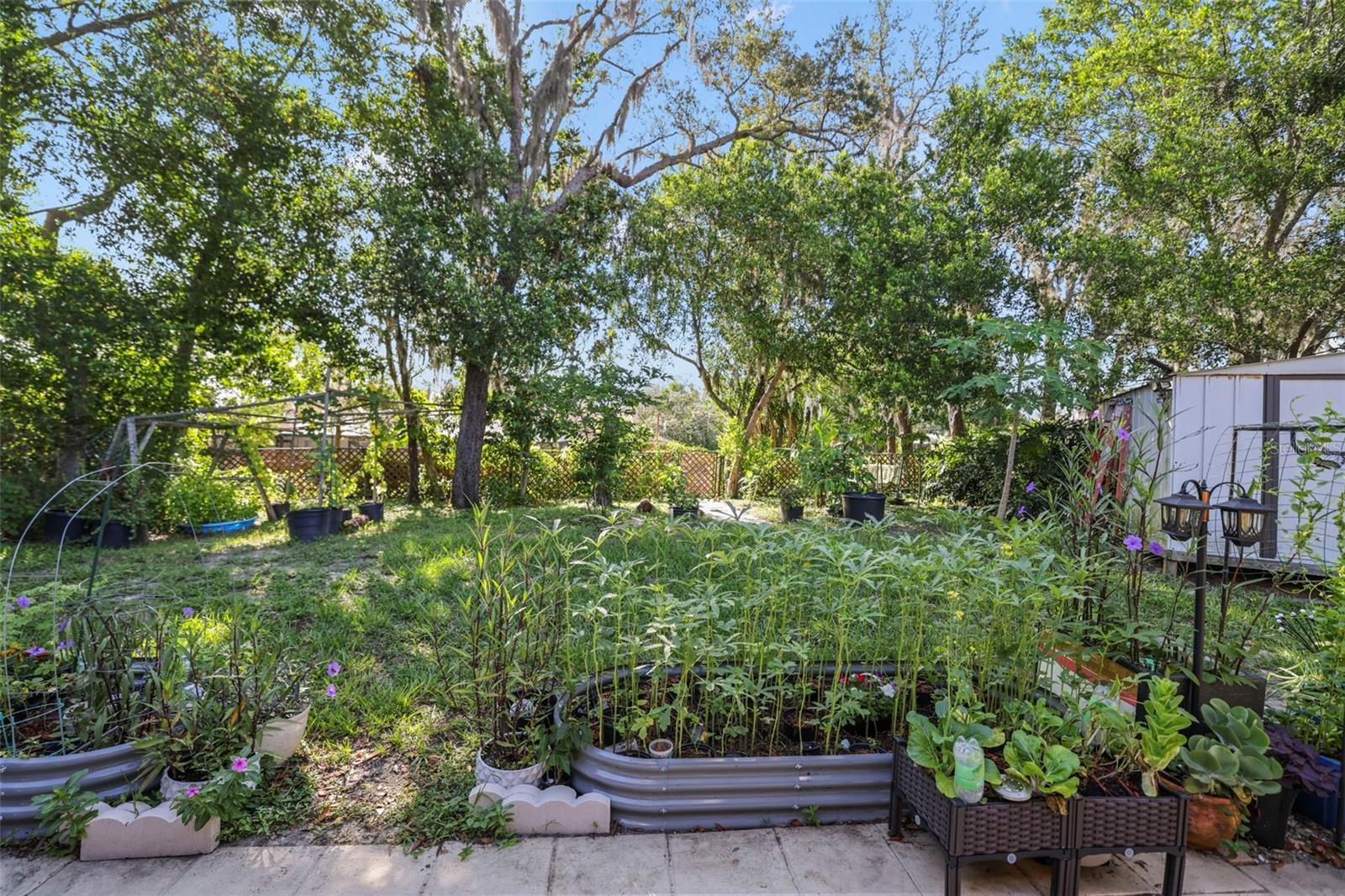 Gardening Delight