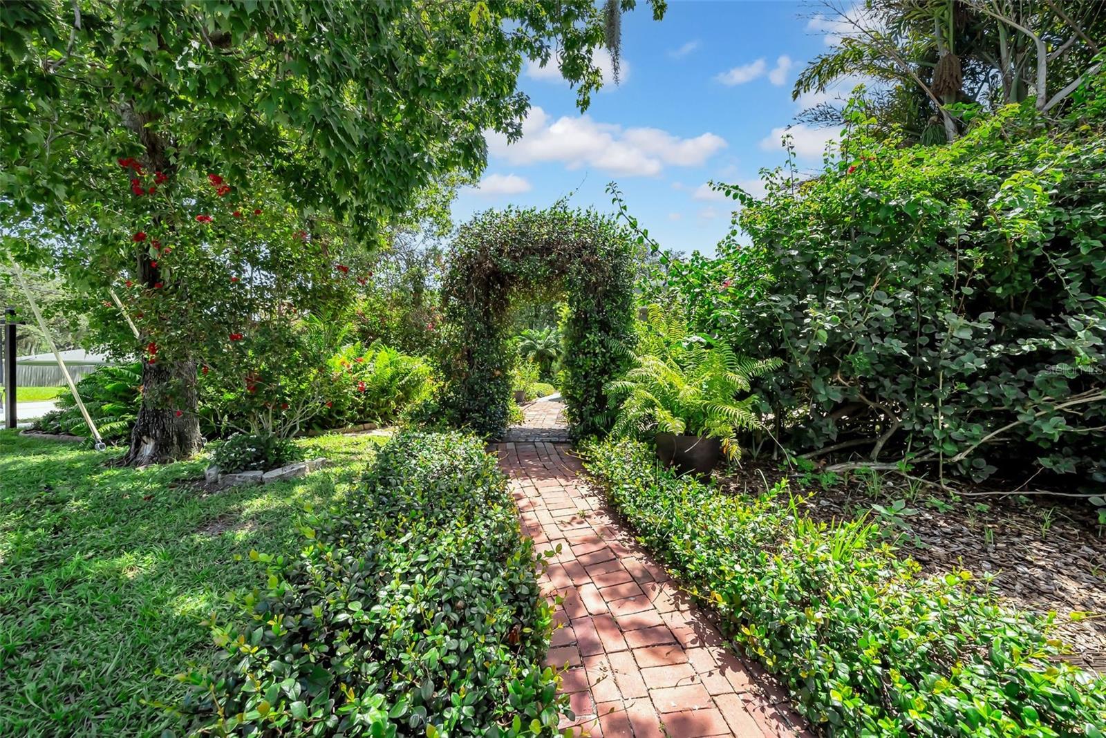 Garden & Walkway
