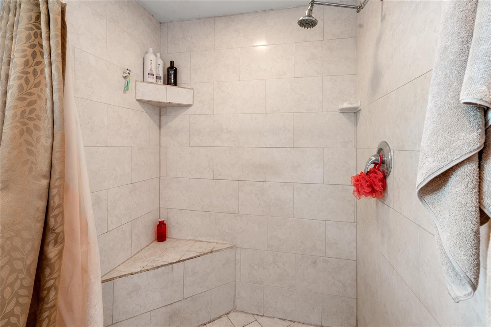 Primary Shower