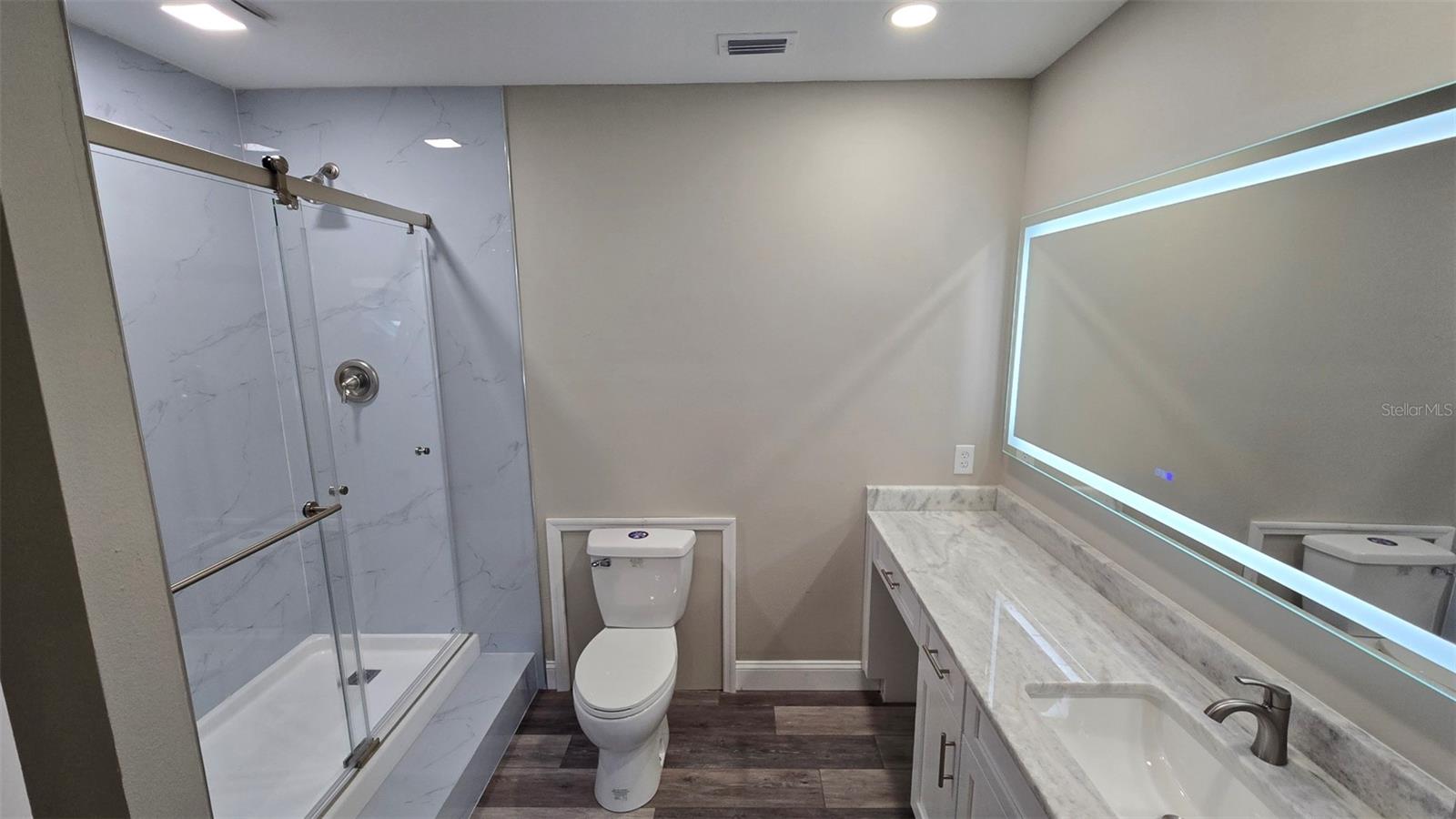 Bonus Room/In law quarters - bathroom