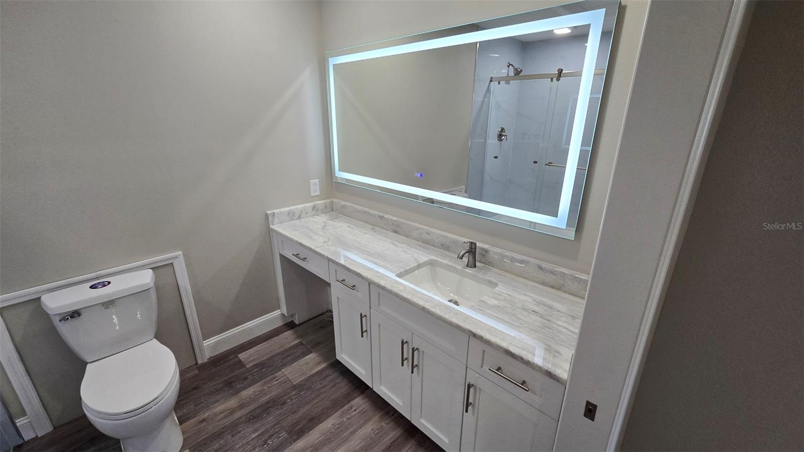 Bonus Room/In law quarters - bathroom