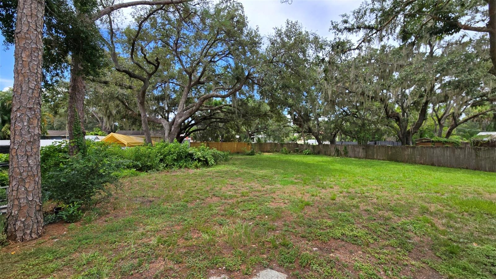 Back yard