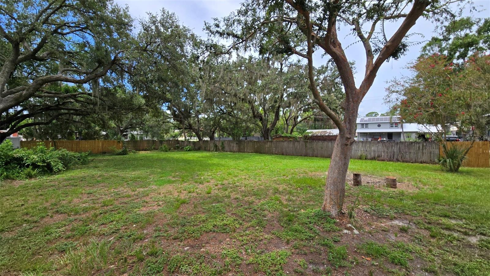 back yard