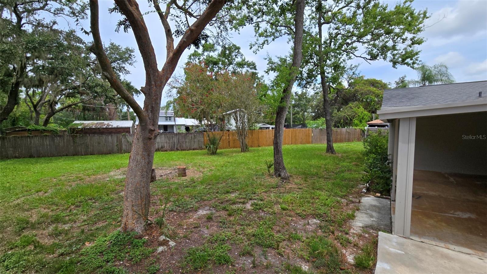 back yard