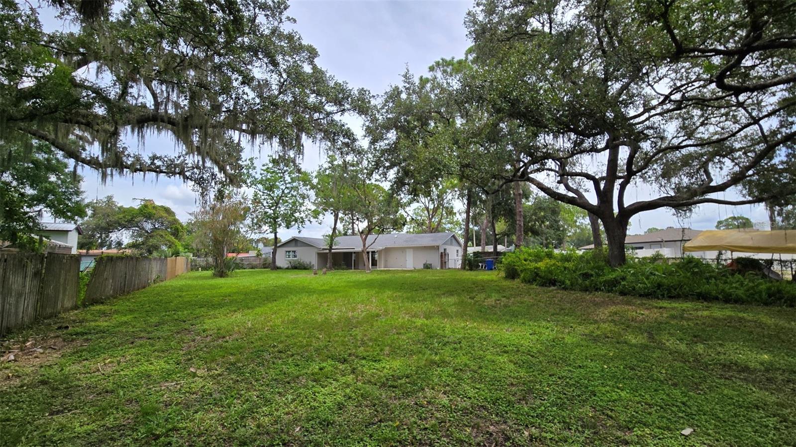Rear of house from corner of back yard