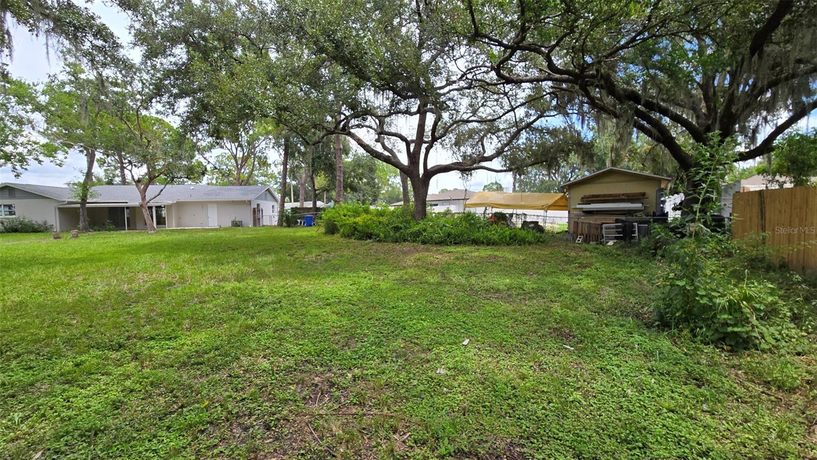 back yard facing east
