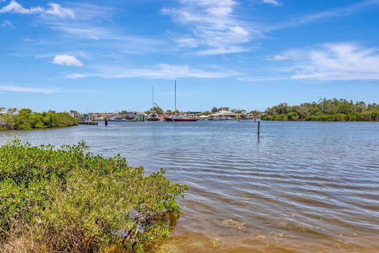 View from Waters Edge