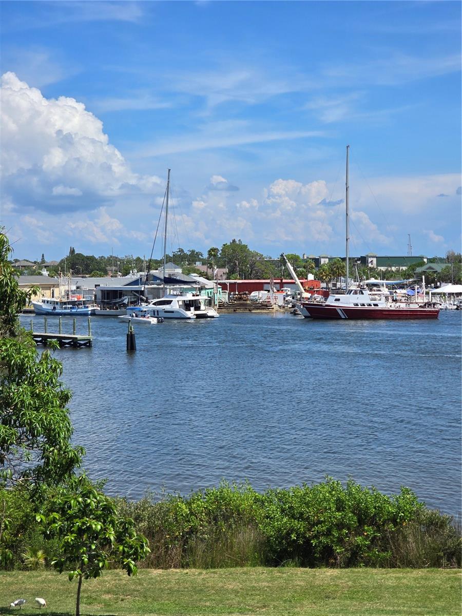 Views of Sponge Docks