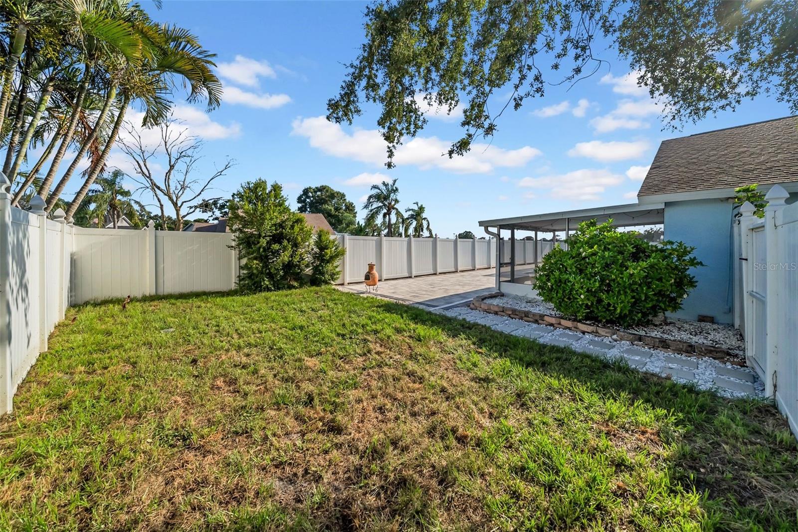 Large Backyard