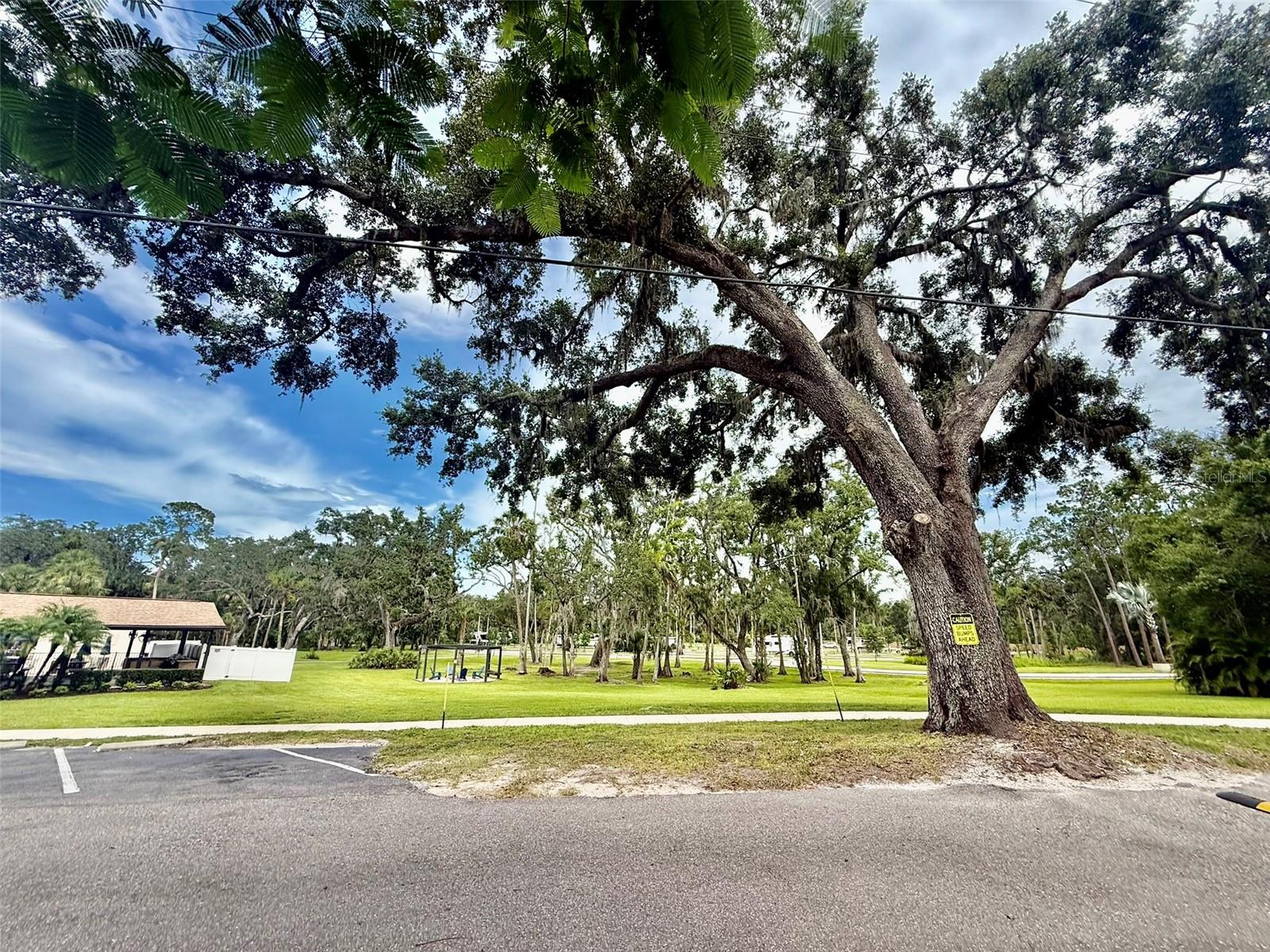 View from front yard