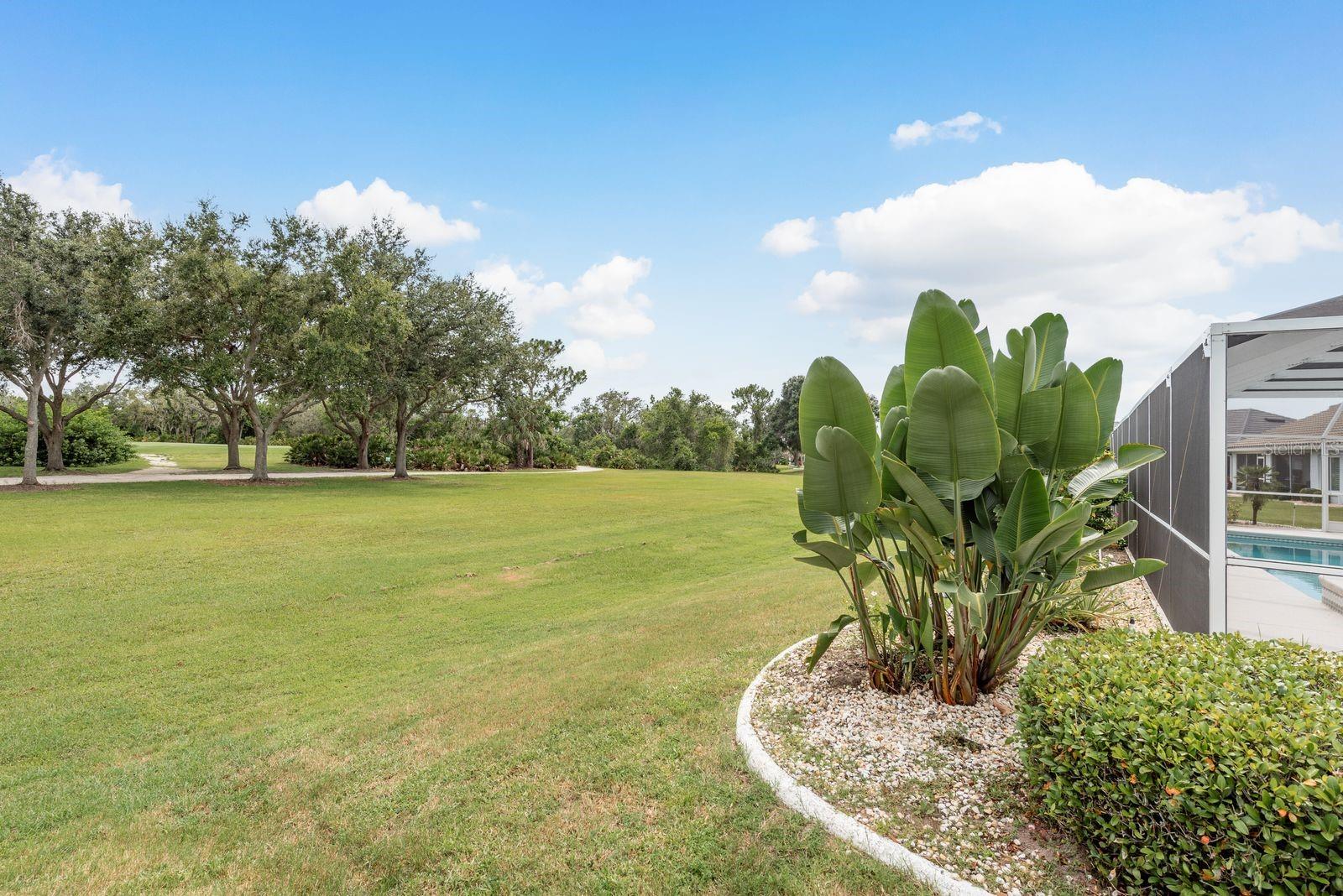 Wide Open Back Yard