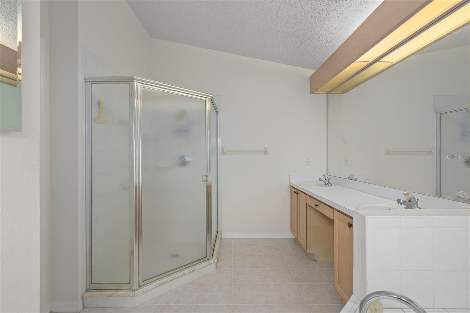 Primary Shower
