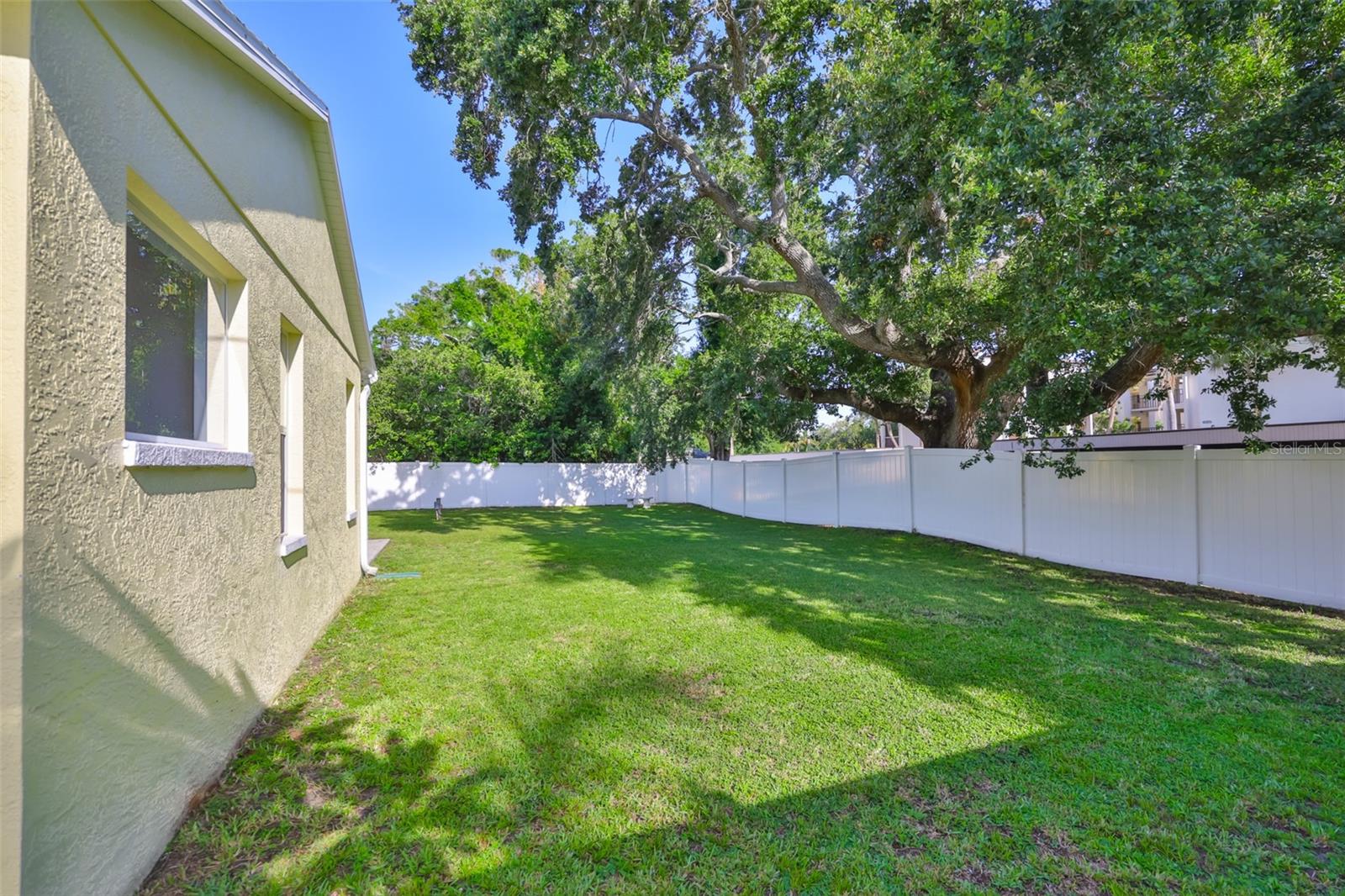 Rear Yard