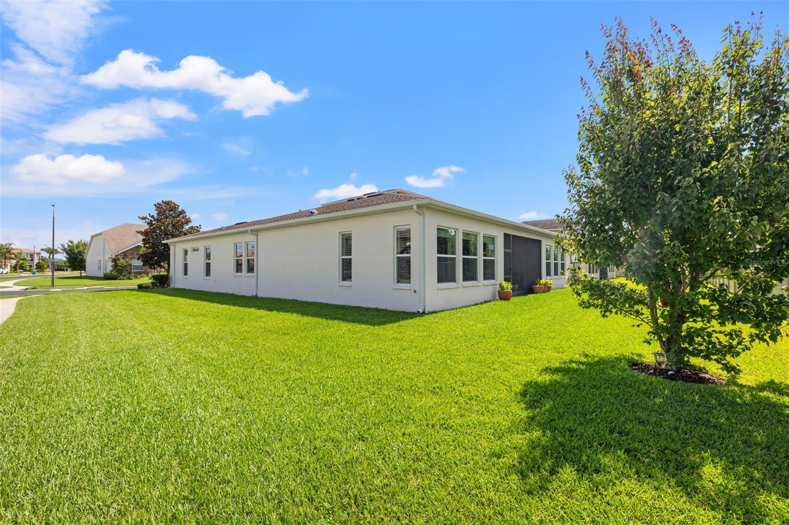 Back / Side Yard