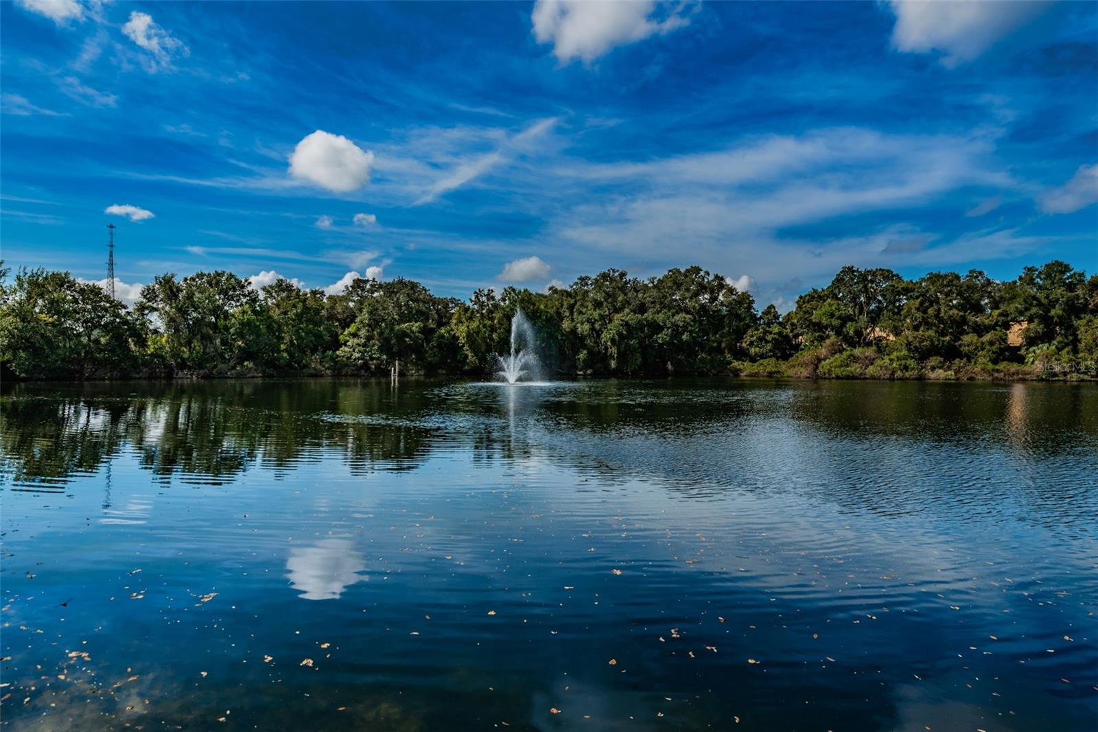 Wedge Wood Pond