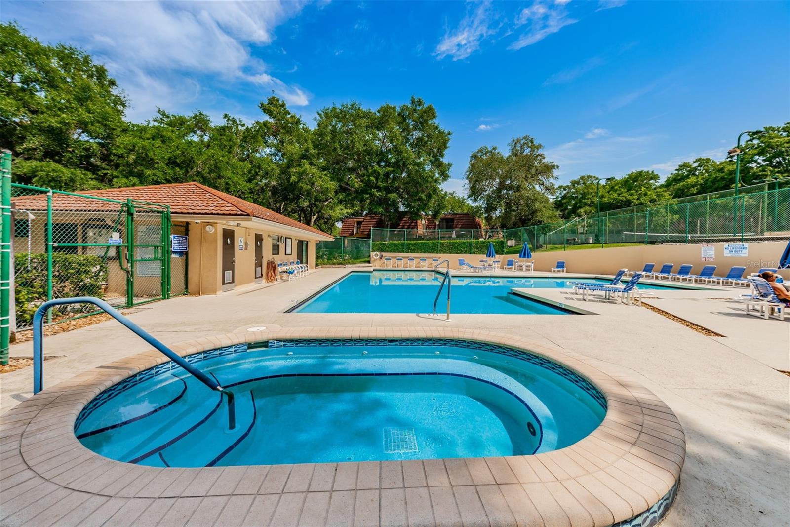 Wedge Wood Pool