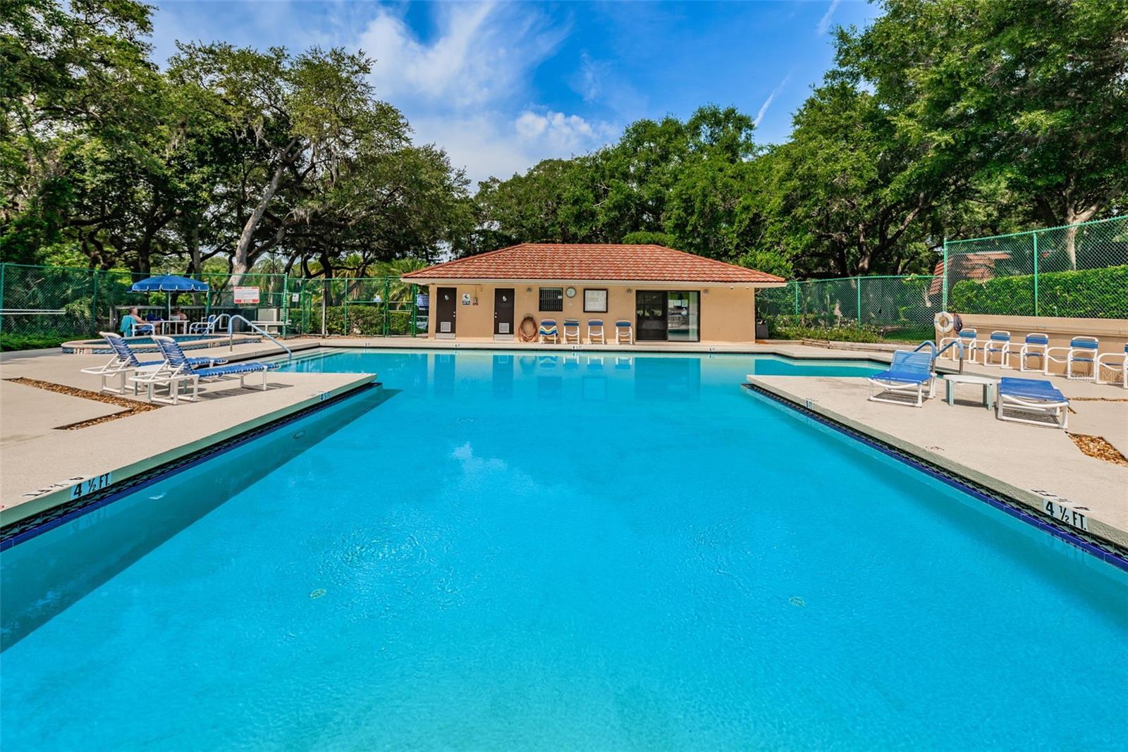 Wedge Wood Pool
