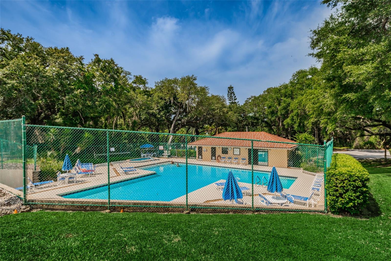 Wedge Wood Pool