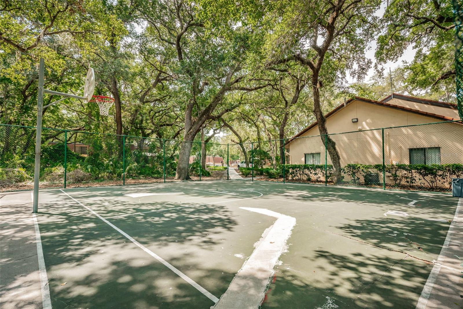 Wedge Wood Basketball Courts