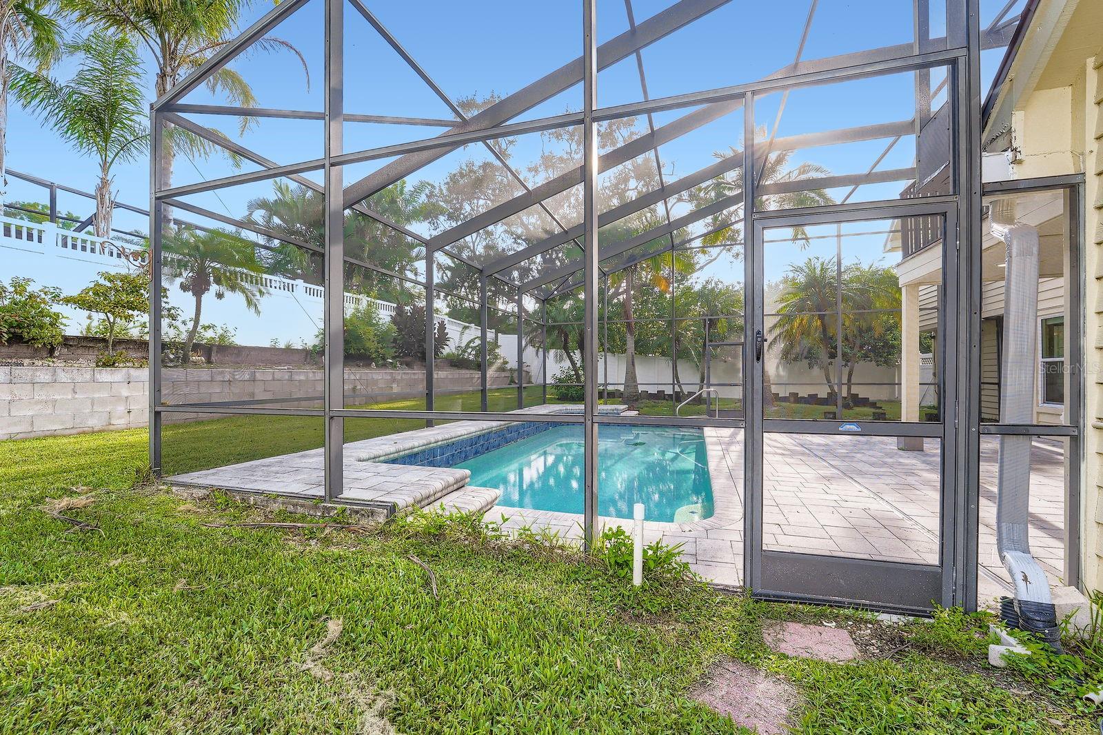 Backyard Pool View
