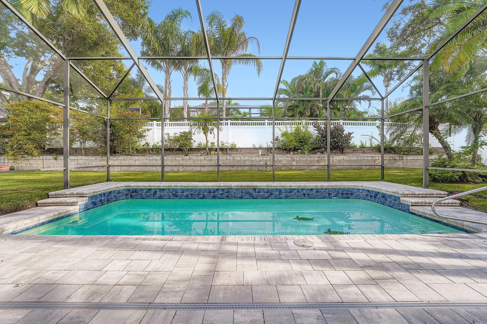 Lanai, Pool & Backyard