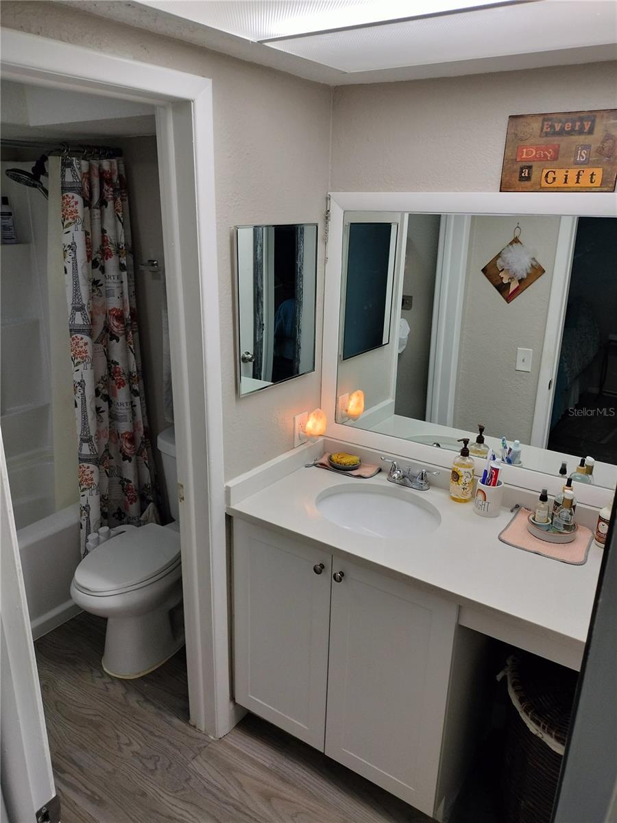 Primary bathroom