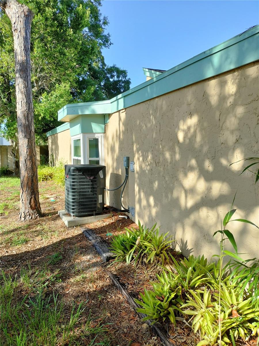 East side of home