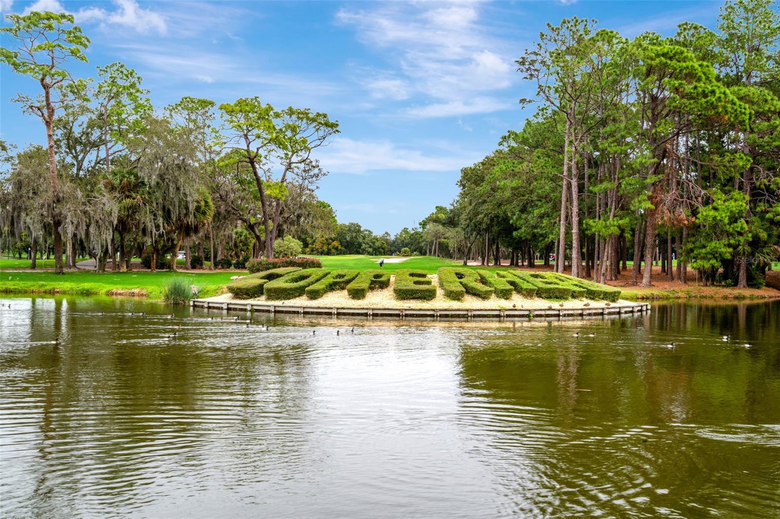 Water views in Innisbrook