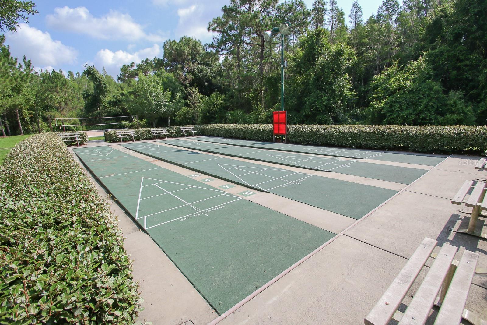 Shuffleboard