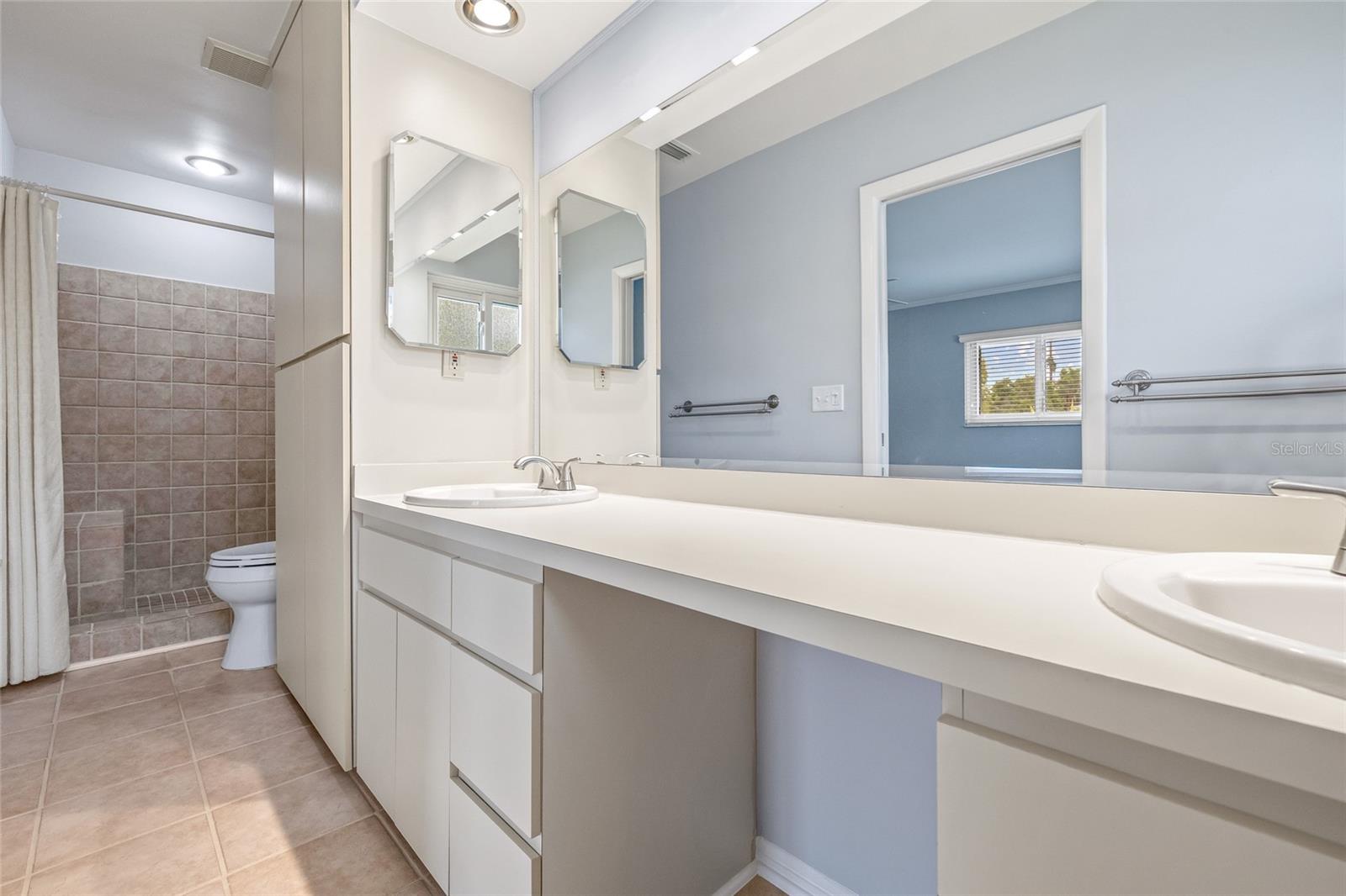 Primary bathroom