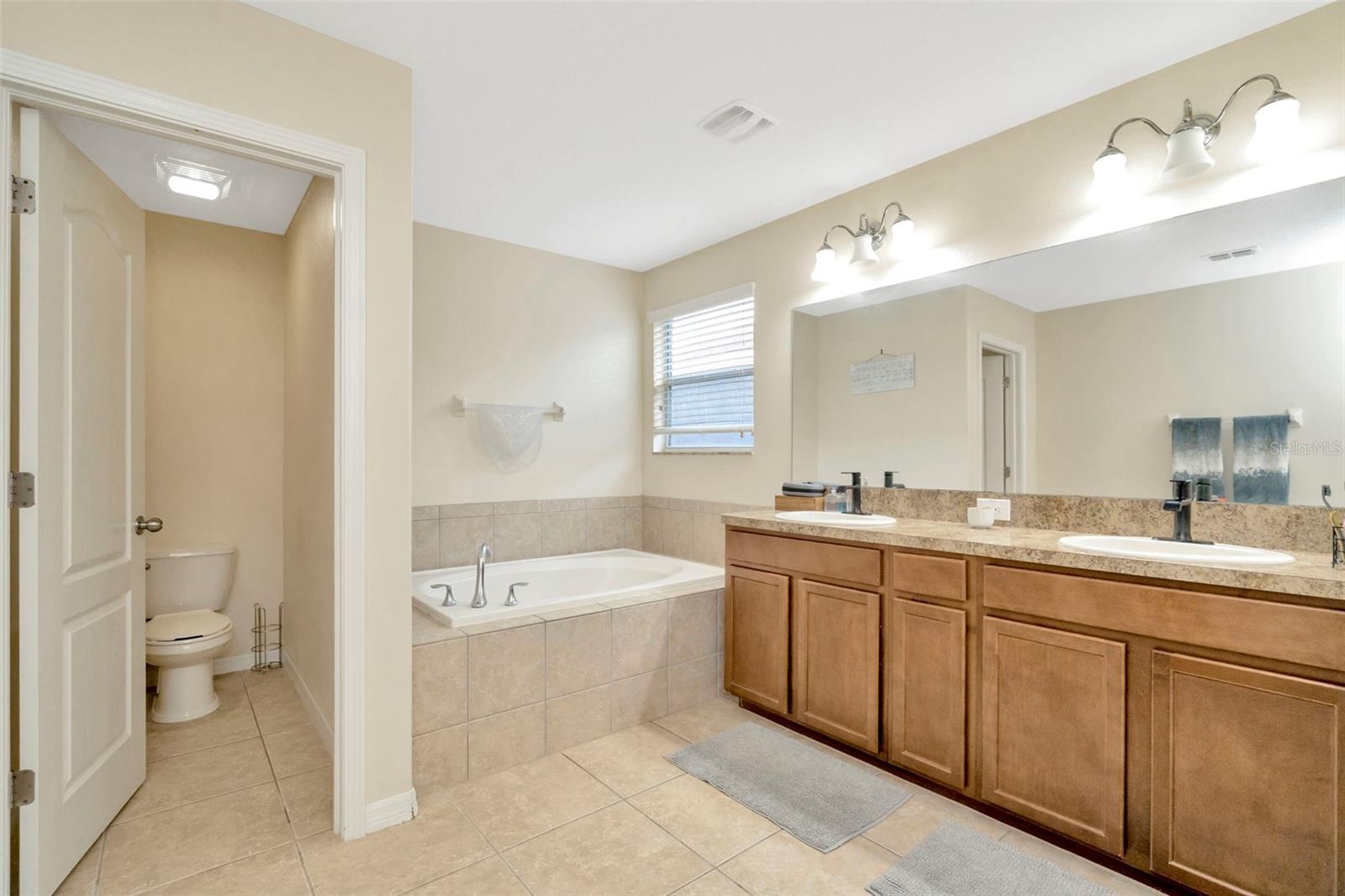 Owner's Bath
