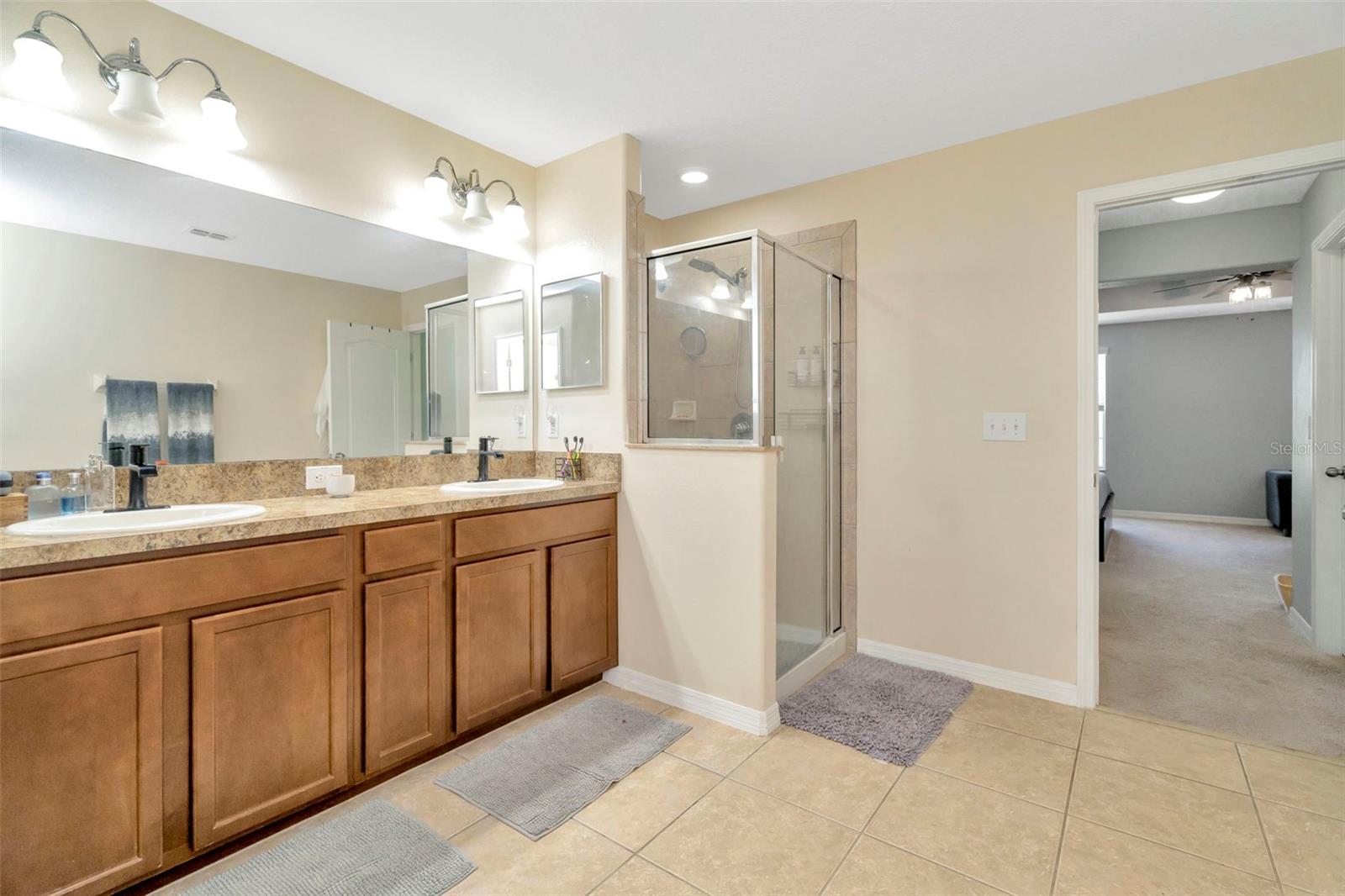 Owner's Bath