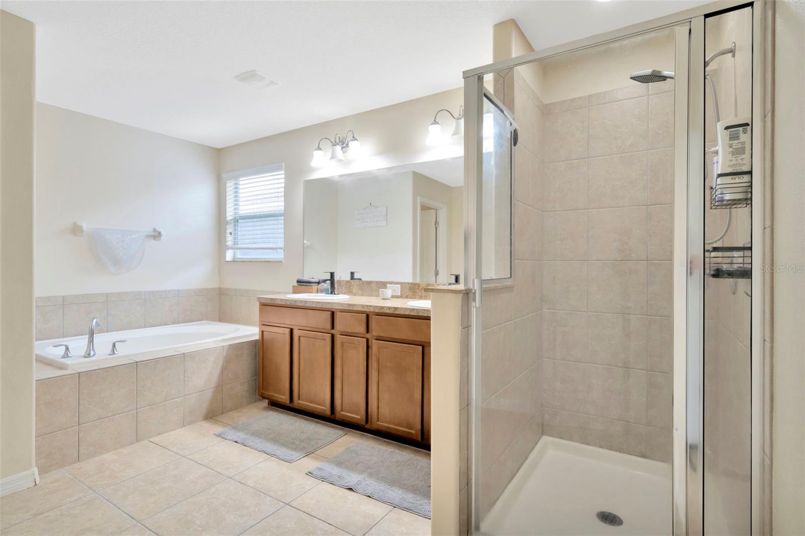 Owner's Bath