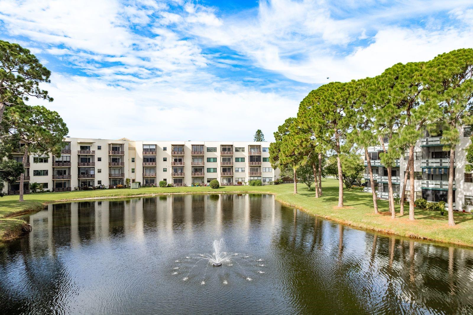 Pond View