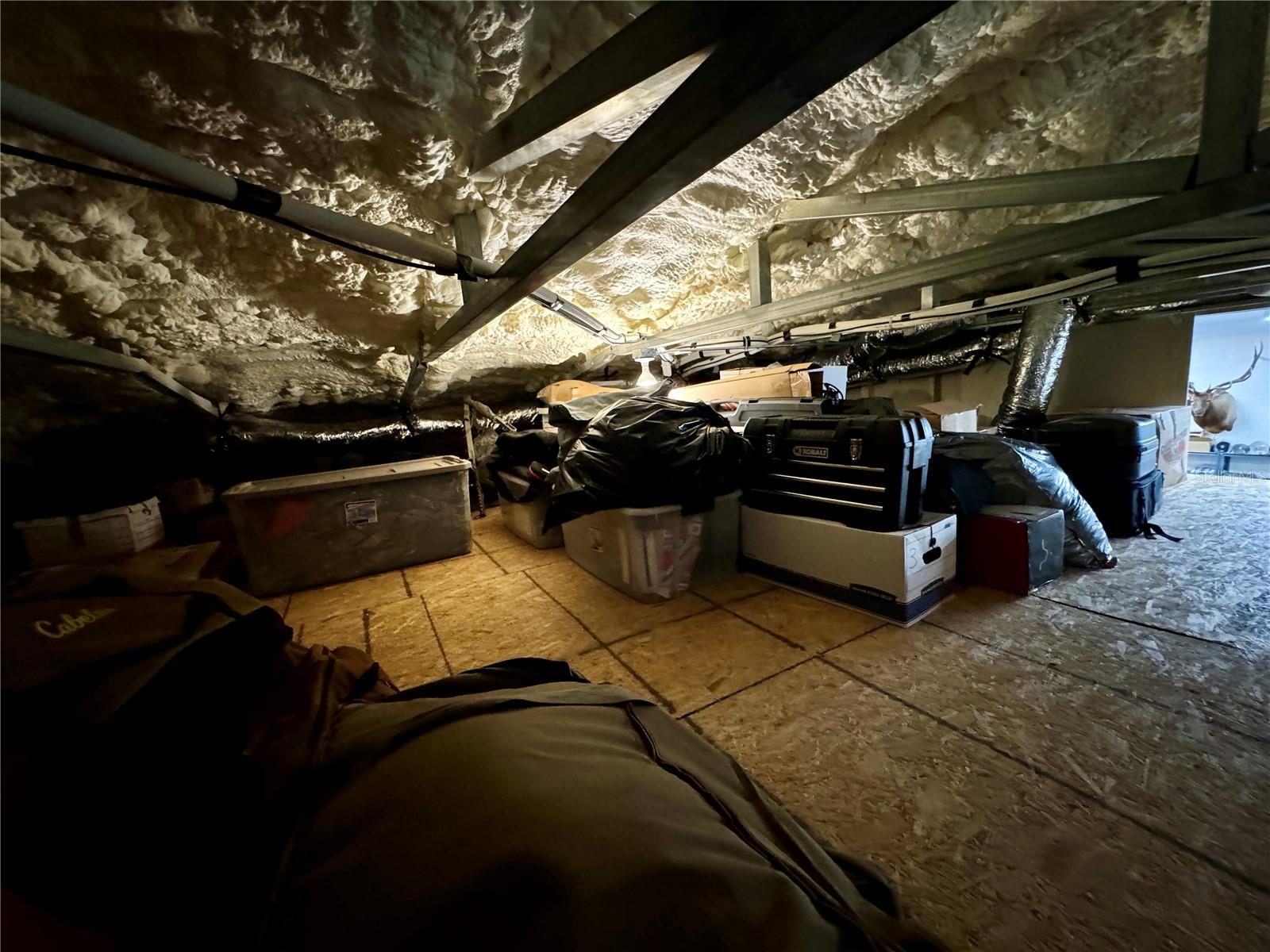Additional Loft Storage with Climate Control
