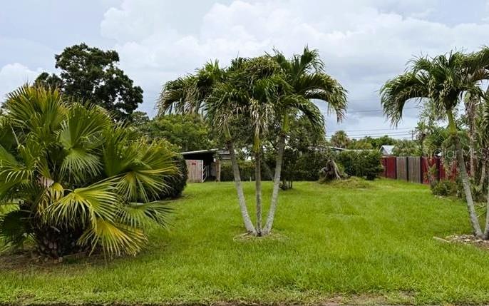 Front Yard