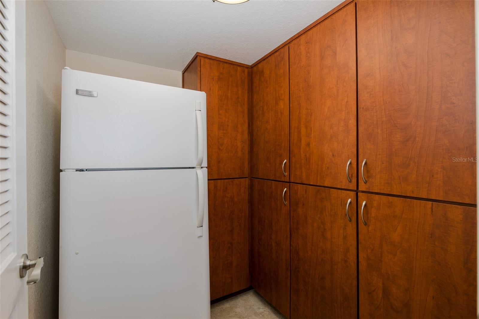 Massive walk in Panty with refrigerator!