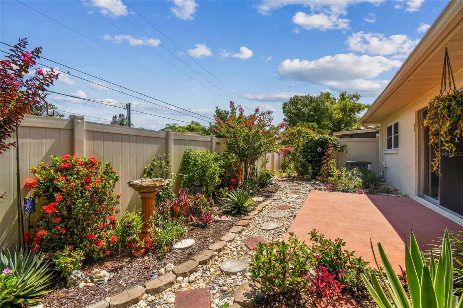 Back Patio/Garden 3