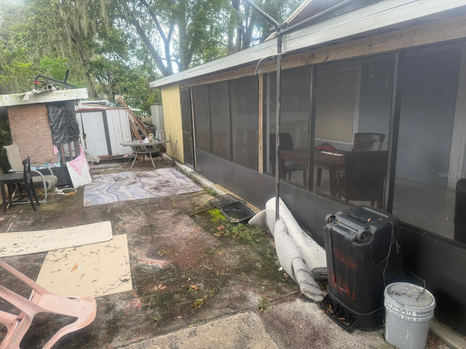 Backyard