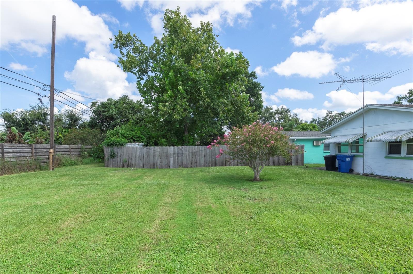 Back yard